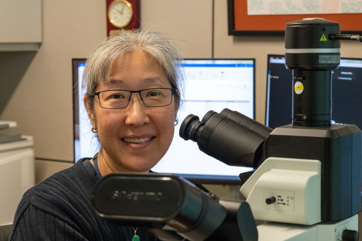 Dr. Annette Kim working at the microscope